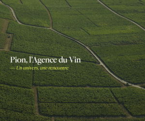 Agence Pion, le meilleur du vin