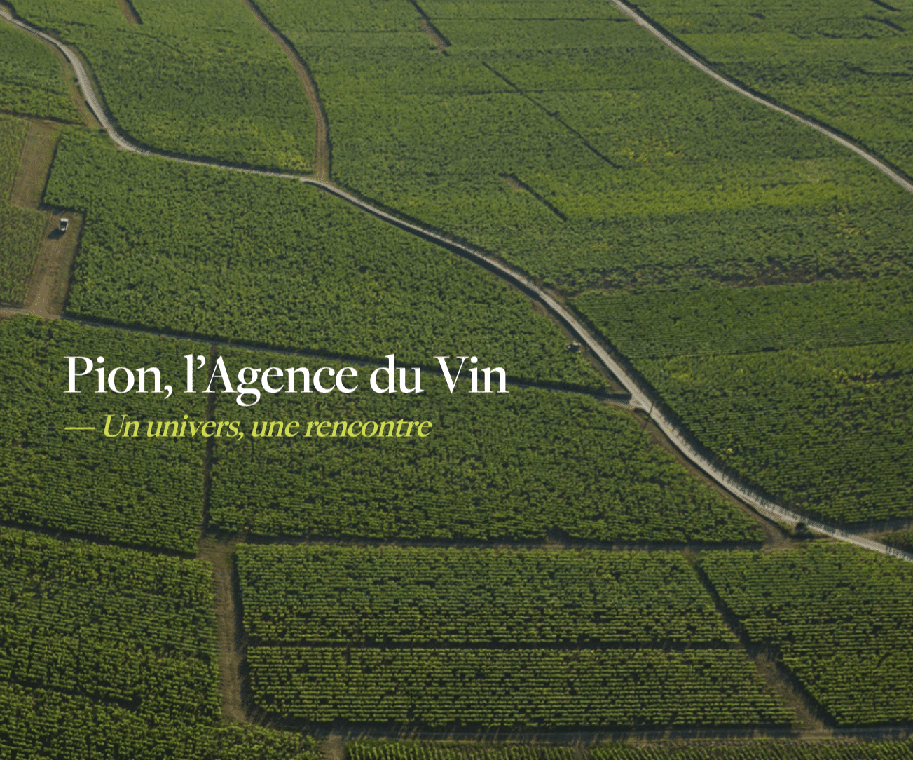 Agence Pion, le meilleur du vin