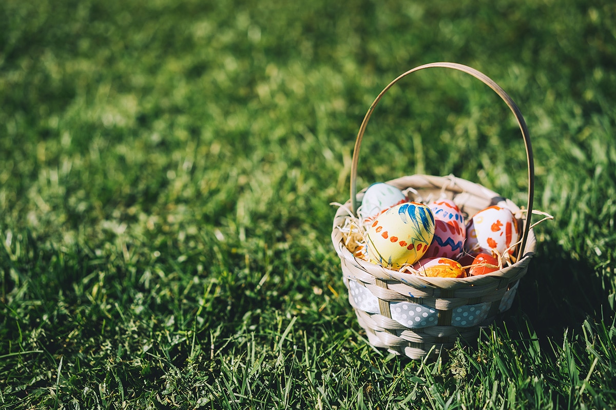 Panier d'oeufs de Pâques posé dans l'herbe