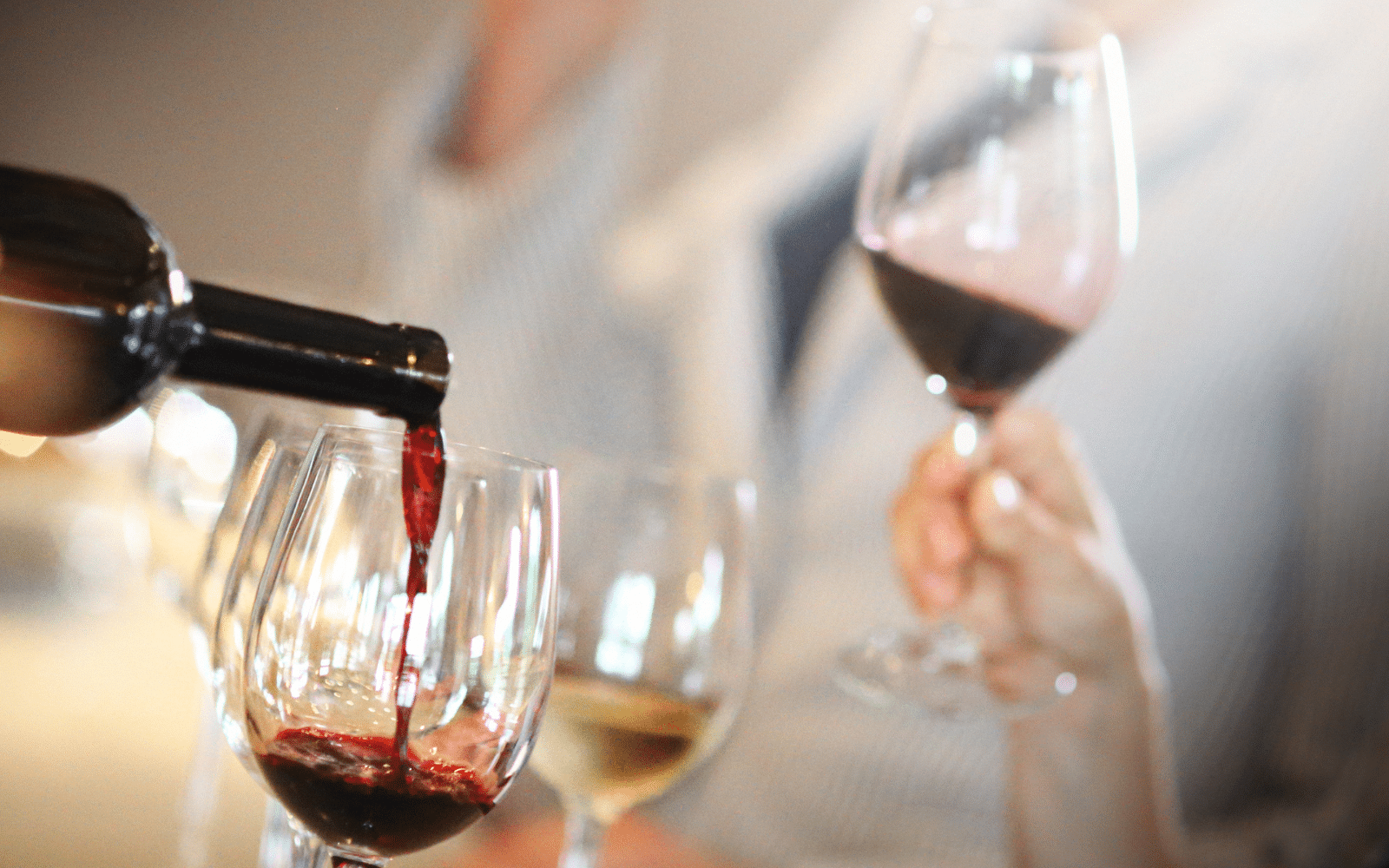 Dégustation Domaine Les Goubert